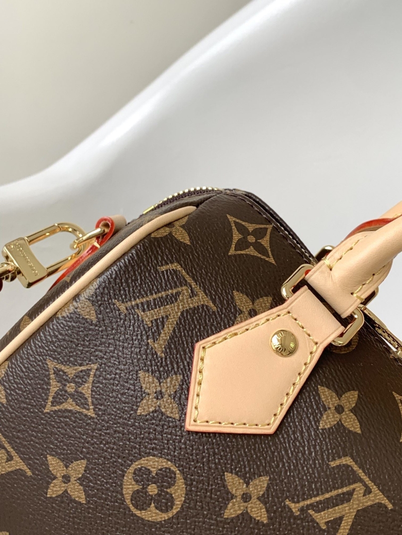 LV Speedy Bags